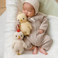 Baby chicken