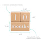 Natural Wooden Milestone Blocks Photo Prop