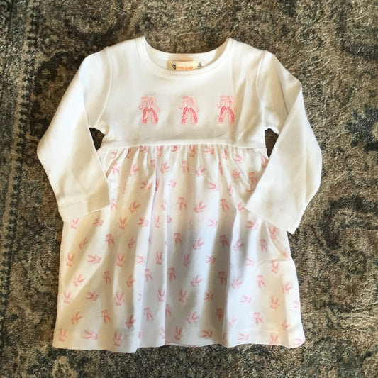 Ballet Slipper Embroidered Dress