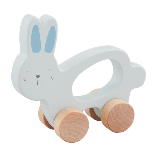 Blue Bunny Pull Toy