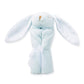Blue Bunny Lovey Blankie