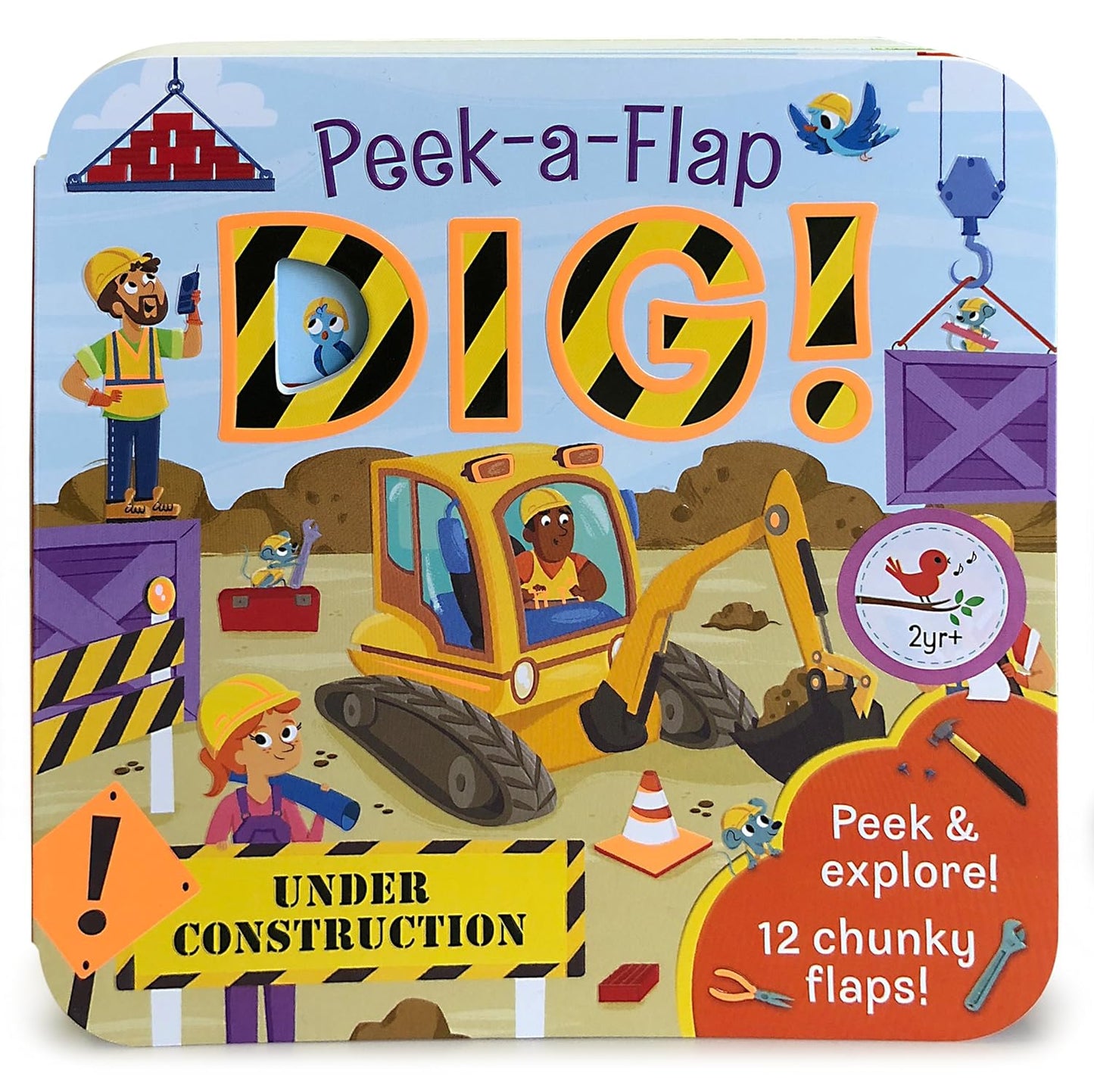 Dig! Peek-a-Flap Book