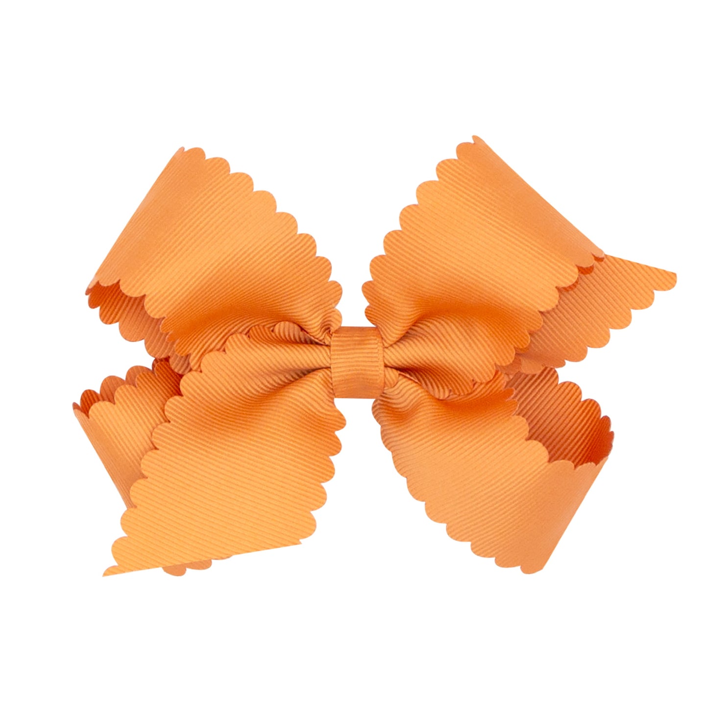 Ginger Scallop Bow