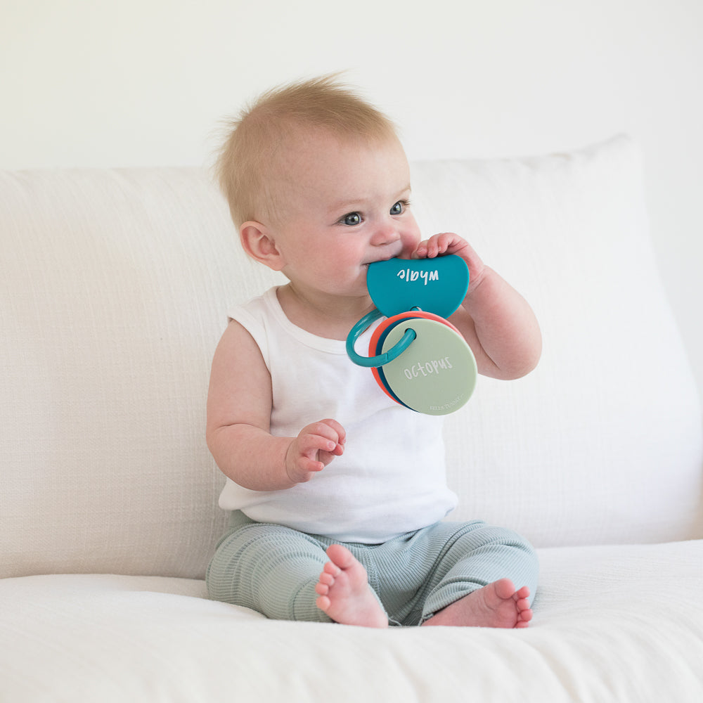 Under the Sea Teething Flashcards