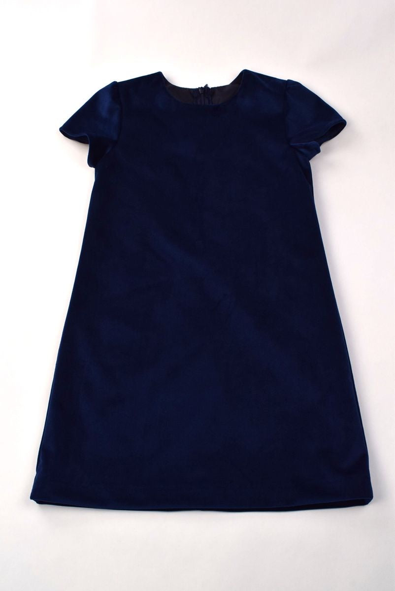 Navy Velvet A-line Dress