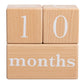 Natural Wooden Milestone Blocks Photo Prop