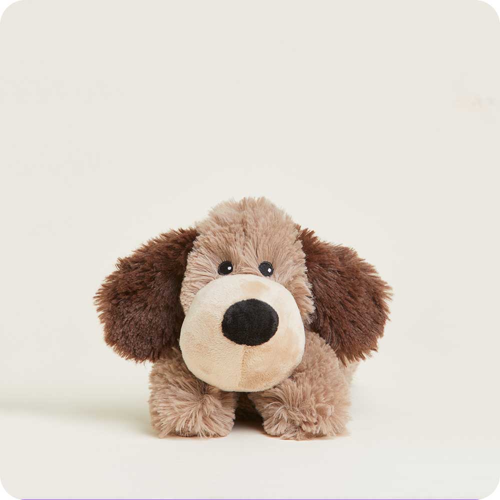 Brown Dog Warmies Junior