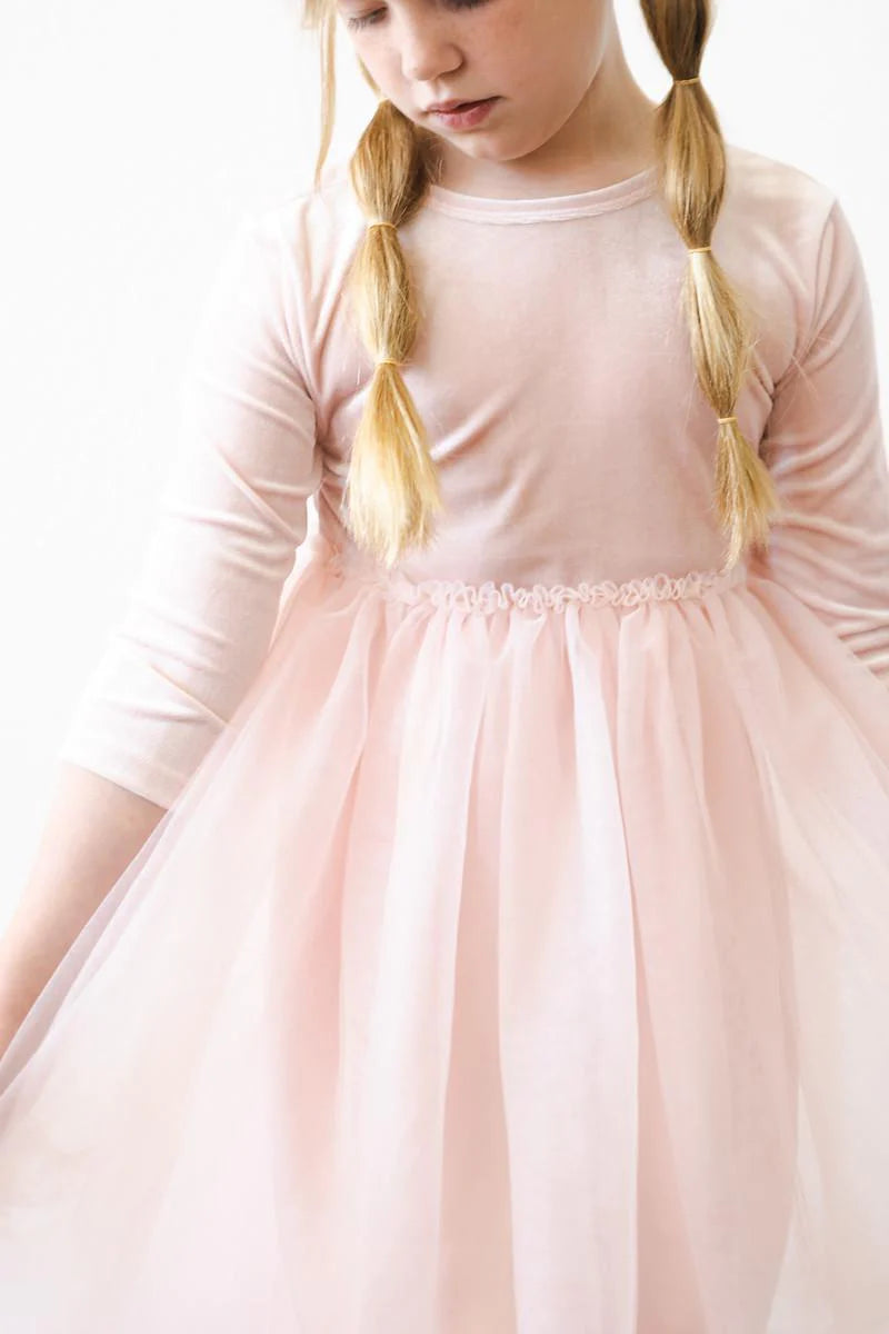 Light Pink Velvet Tutu Dress